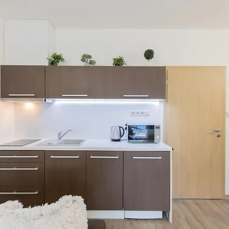 Apartman Sophia 4 S Terasou Velke Losiny Exterior photo