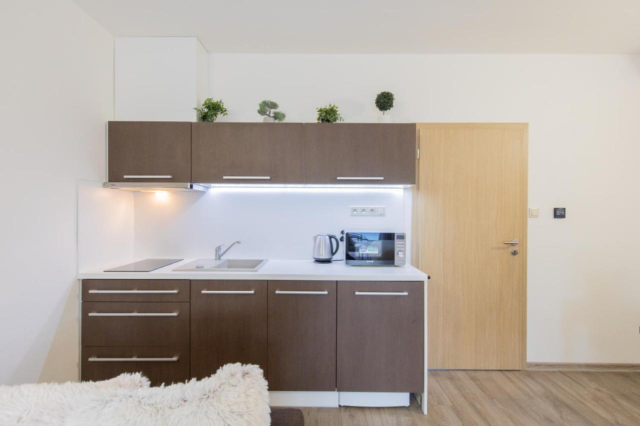 Apartment Sophia 4 S Terasou Velke Losiny
